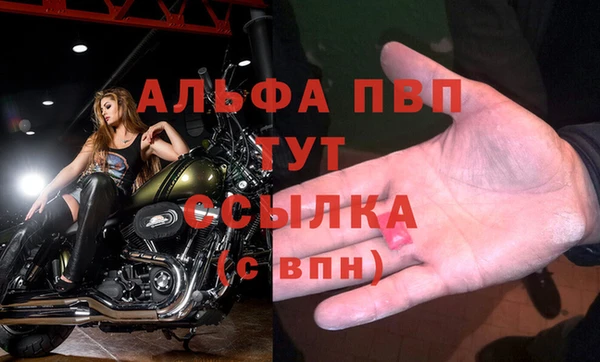 ПСИЛОЦИБИНОВЫЕ ГРИБЫ Елабуга