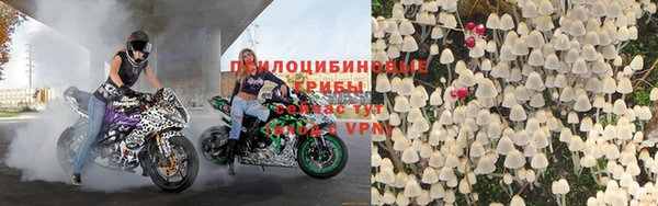 ПСИЛОЦИБИНОВЫЕ ГРИБЫ Елабуга