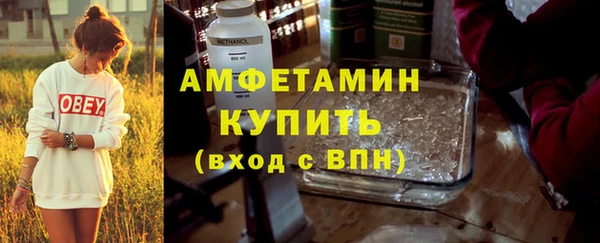 экстази Ельня