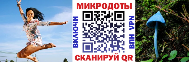 Псилоцибиновые грибы Psilocybine cubensis  Купить  Балабаново 